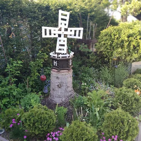 Koja *