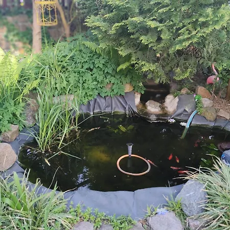 Koja Homestay